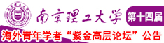 大鸡吧视频在线观看南京理工大学第十四届海外青年学者紫金论坛诚邀海内外英才！